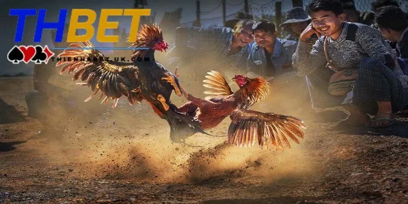 Đá Gà Thienhabet 2 Tổng hợp những tựa game nổi bật và được ưa chuộng nhất tại đá gà Thienhabet